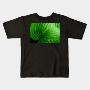 Hosta Leaf Kids T-Shirt